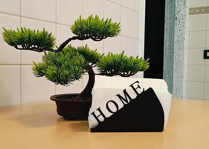 Little Green House